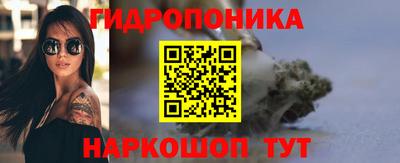 прущие крисы Ипатово
